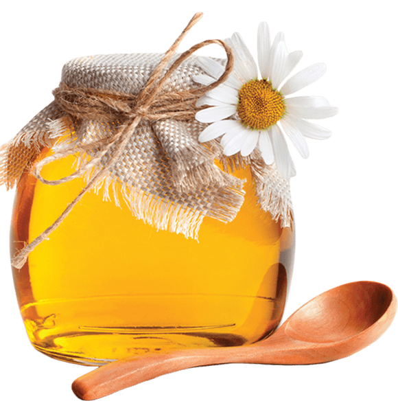 True Natural Honey Jar