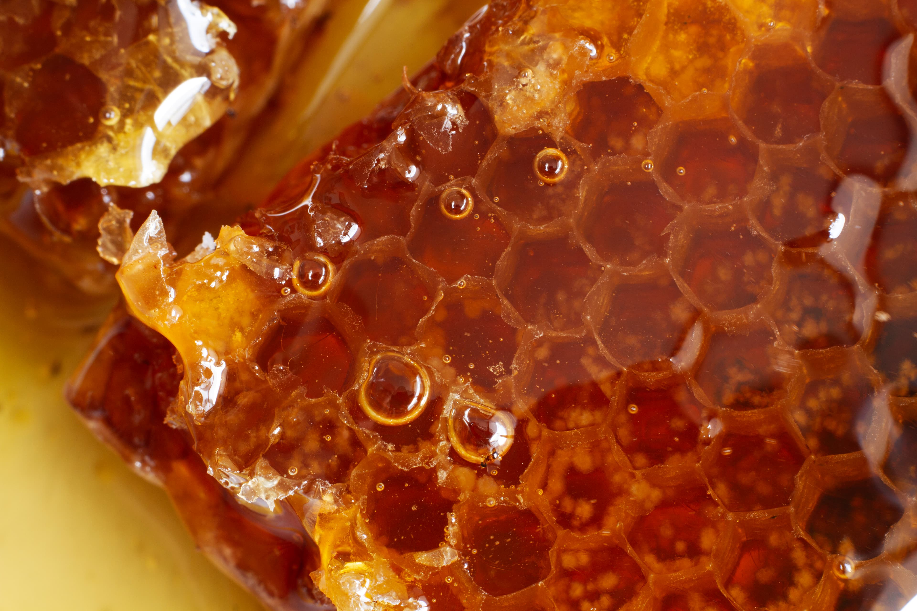 Organic Honey Harvesting from True Natural Hives